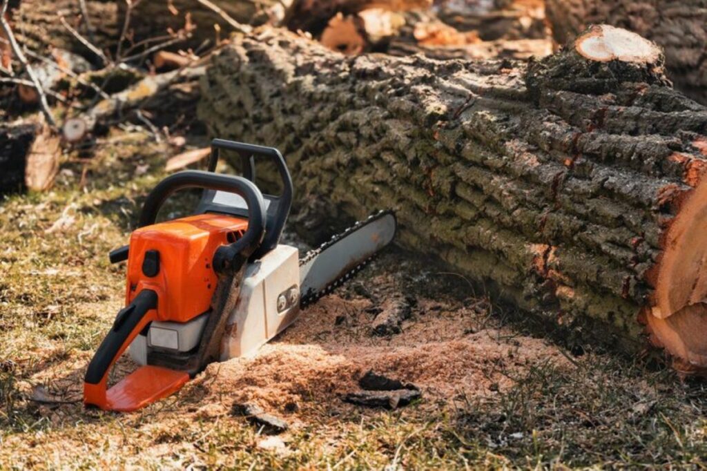 stump removal service