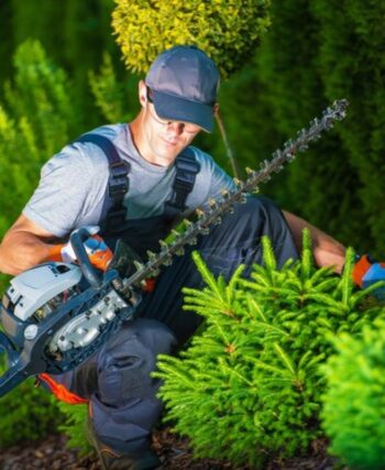 Hedge trimming