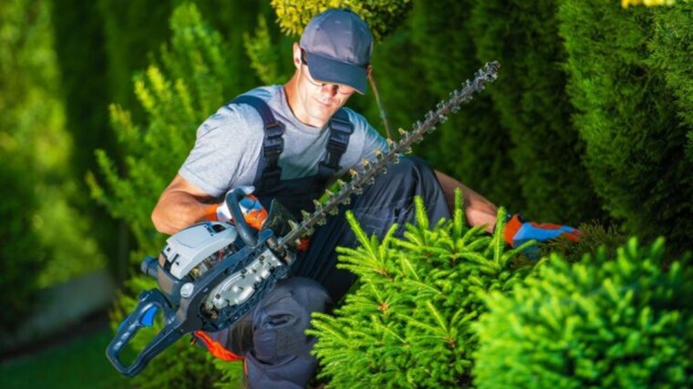 Hedge trimming