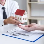 Get a Same-Day Quote for Sydney Stump Grinding