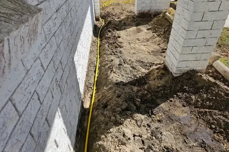 Termite Barrier Sydney: How Chemical and Physical Barriers Protect Homes

