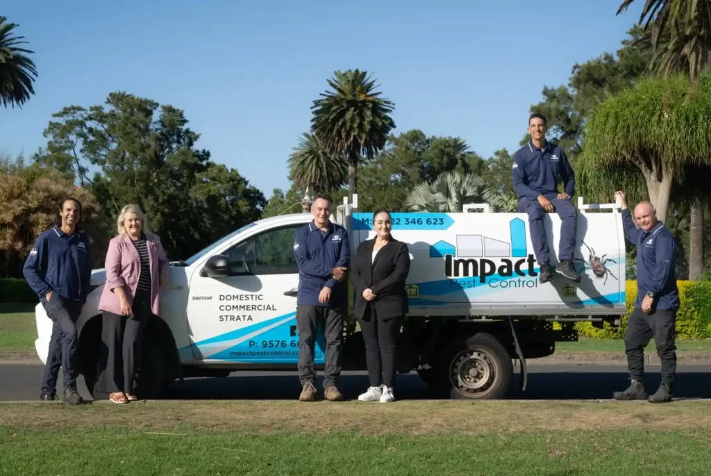 termite inspection penrith