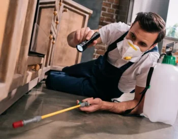 termite inspection penrith
