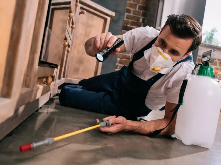 termite inspection penrith